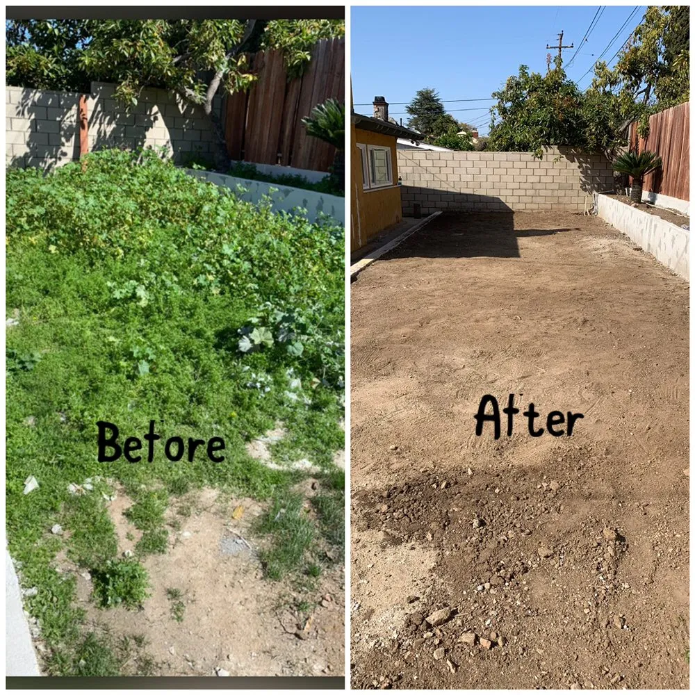 Professional landscaping services in Altadena, CA by Ramon’s Landscape And Tree Services