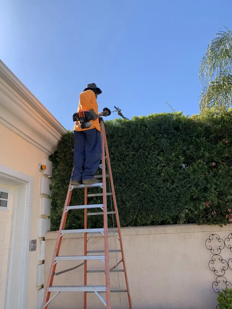 Custom lawn mowing service in Altadena, CA - Ramon’s Landscape And Tree Services