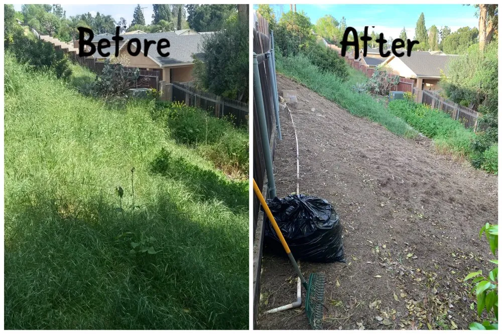 Top-rated lawn mowing service for outdoor upgrades across Altadena, CA - Ramon’s Landscape And Tree Services