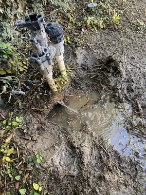 Ramon’s Landscape And Tree Services Logo