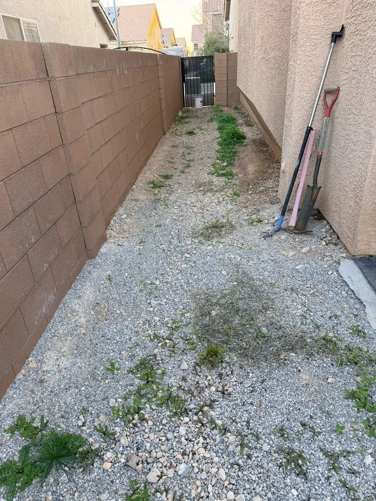 Professional garden landscaping experts serving Las Vegas, NV - Ramon's Yard Maintenance