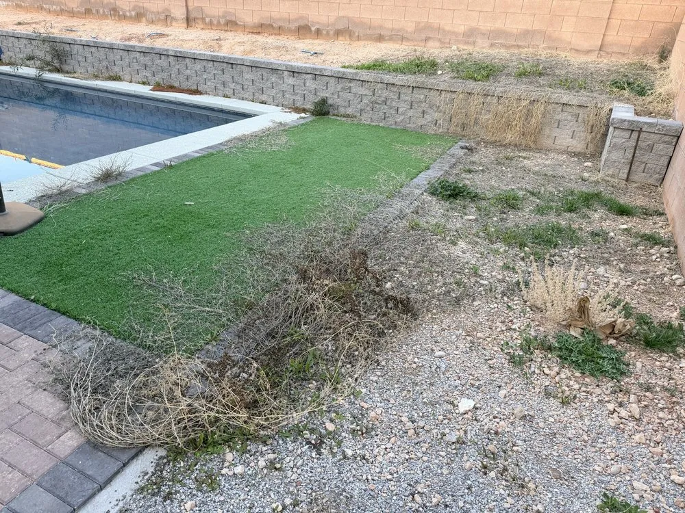 Professional landscaping services in Las Vegas, NV - Ramon's Yard Maintenance