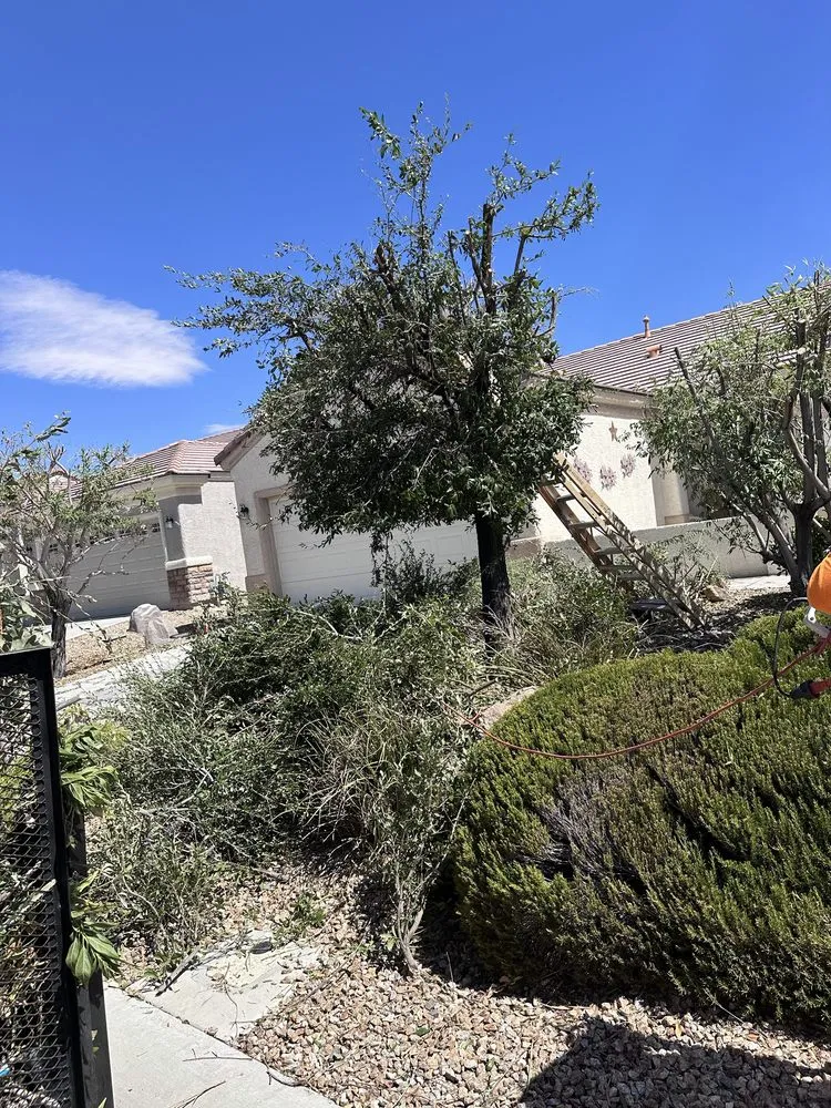 Professional landscaping services near you across Las Vegas, NV - Ramon's Yard Maintenance