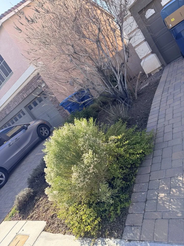 Professional landscape design in Las Vegas, NV - Ramon's Yard Maintenance