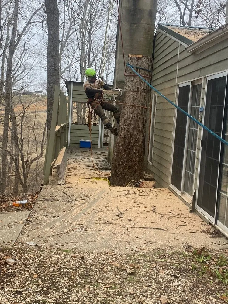 Local landscape design for residential properties in Charlottesville, VA by Ramos & Sons Landscaping & Tree Service