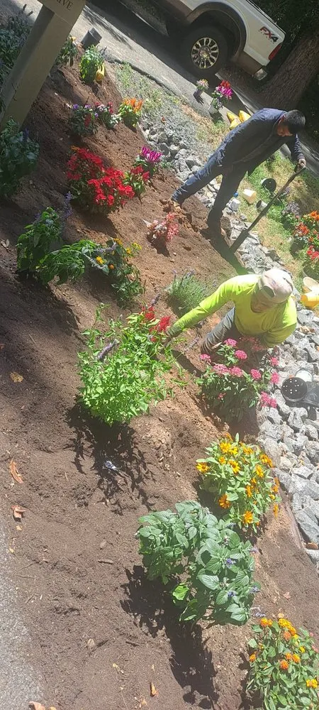 Custom yard cleanup service in Charlottesville, VA - Ramos & Sons Landscaping & Tree Service