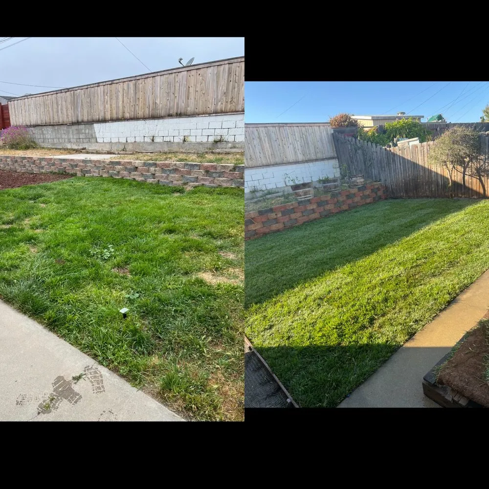 Expert outdoor landscaping near you across Lompoc, CA - Ramos All Around Gardening