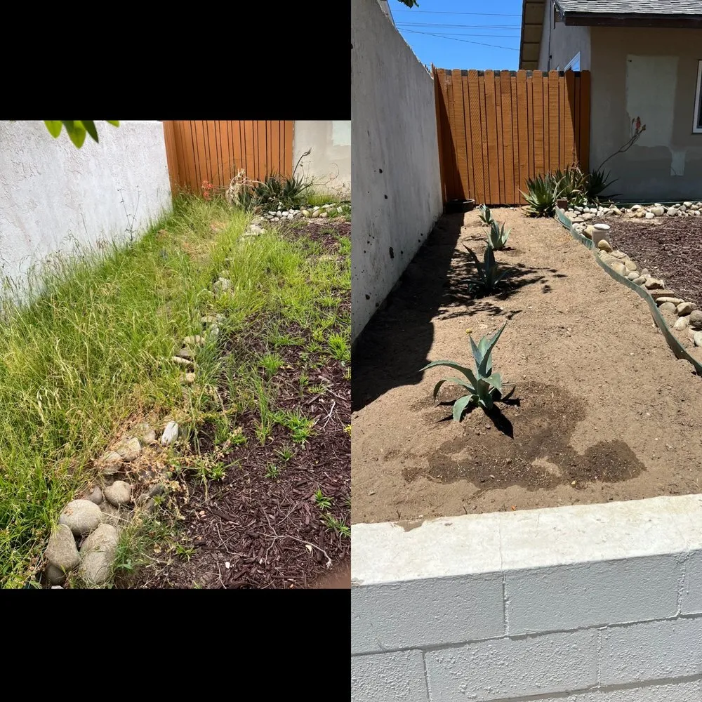 Professional landscape installation in Lompoc, CA - Ramos All Around Gardening