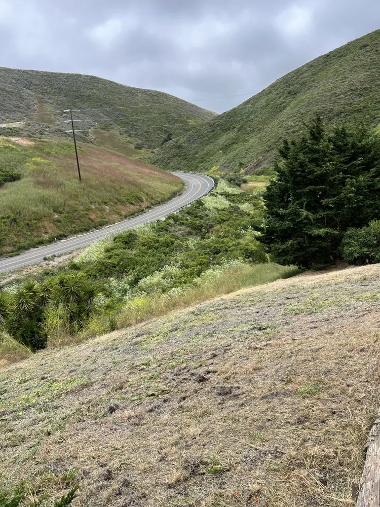 Custom yard maintenance for year-round maintenance across Lompoc, CA - Ramos All Around Gardening