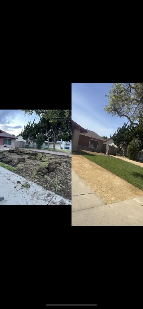 Custom yard maintenance in Lompoc, CA - Ramos All Around Gardening