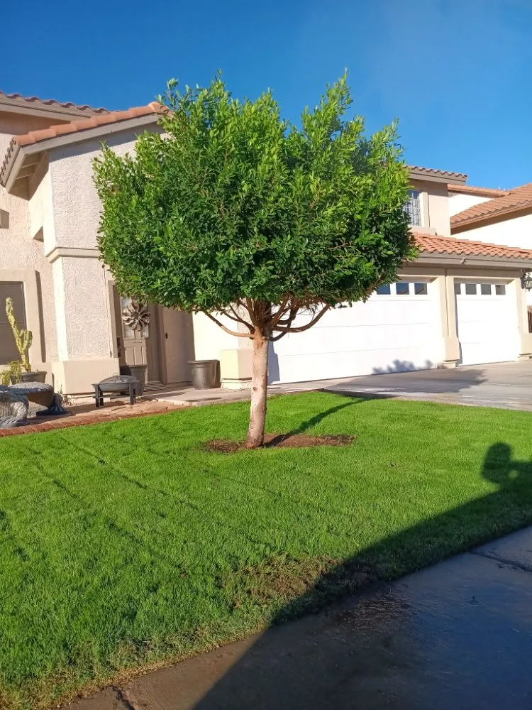 Reliable lawn mowing service for outdoor upgrades in Peoria, AZ by Ramos Arizona Landscaping