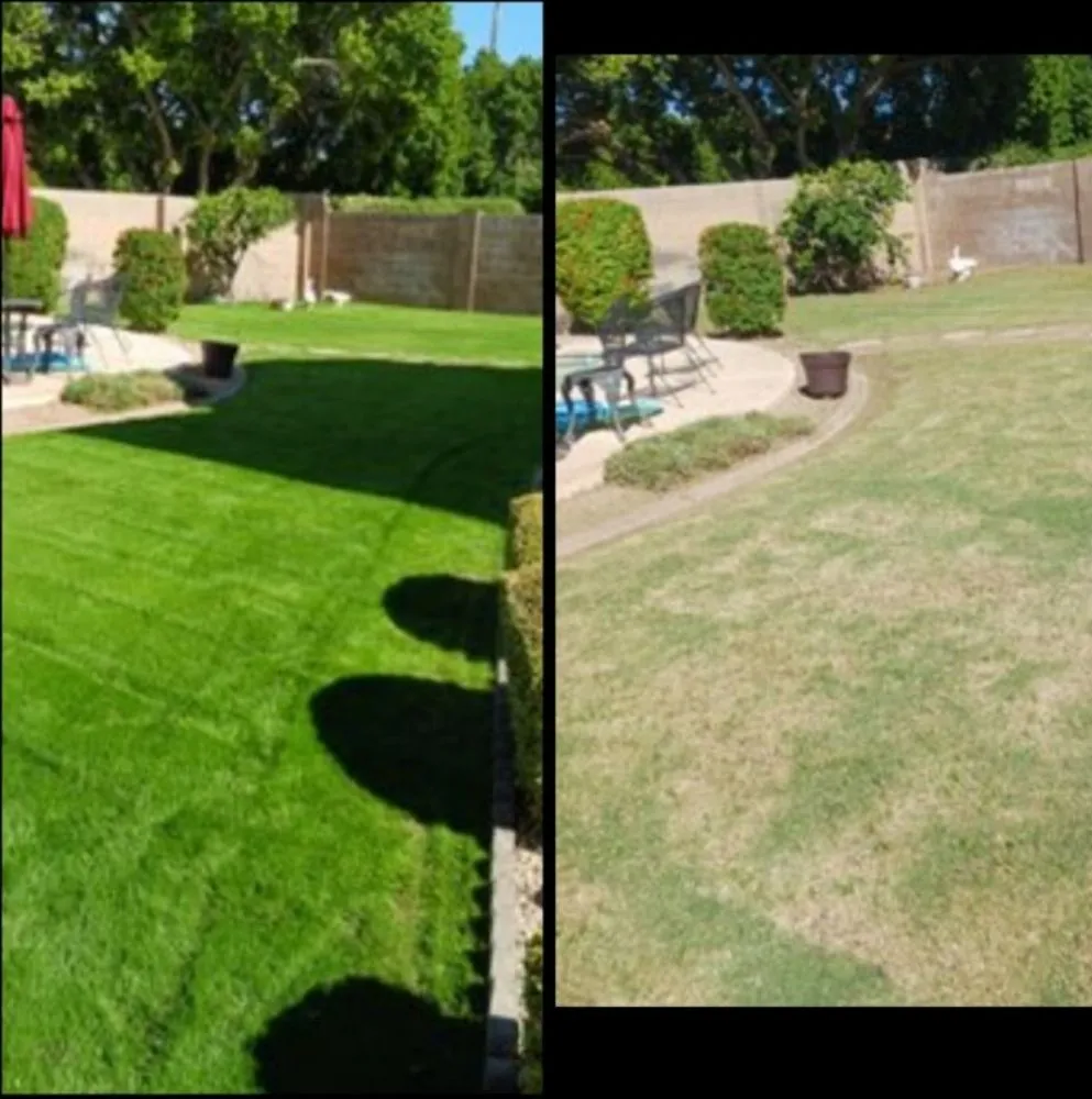 Local outdoor landscaping for homes in Peoria, AZ by Ramos Arizona Landscaping