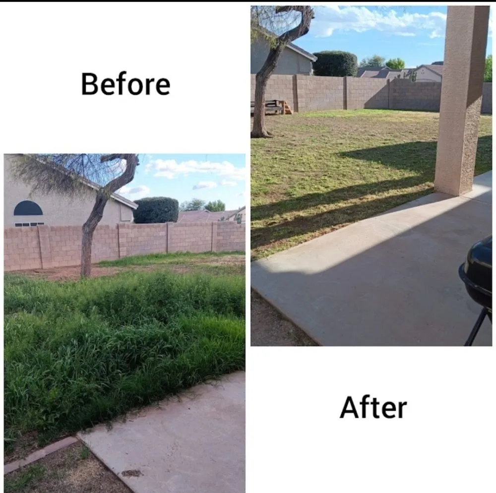 Trusted landscaping services in Peoria, AZ by Ramos Arizona Landscaping