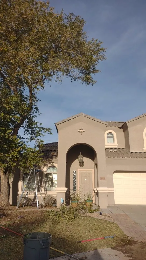 Top-rated garden landscaping for residential properties in Peoria, AZ by Ramos Arizona Landscaping