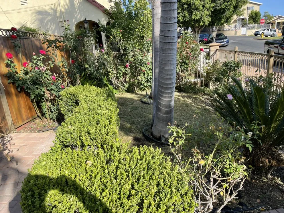 Local garden landscaping for residential properties across Alhambra, CA - Ramos Brothers Landscaping