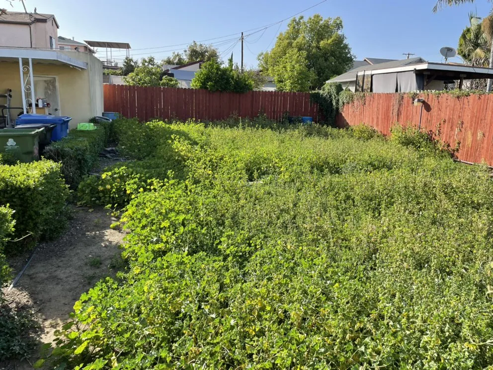 Trusted landscaping services near you across Alhambra, CA - Ramos Brothers Landscaping