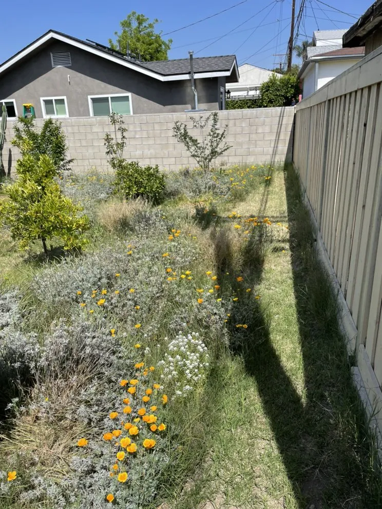 Professional landscaping services in Alhambra, CA - Ramos Brothers Landscaping