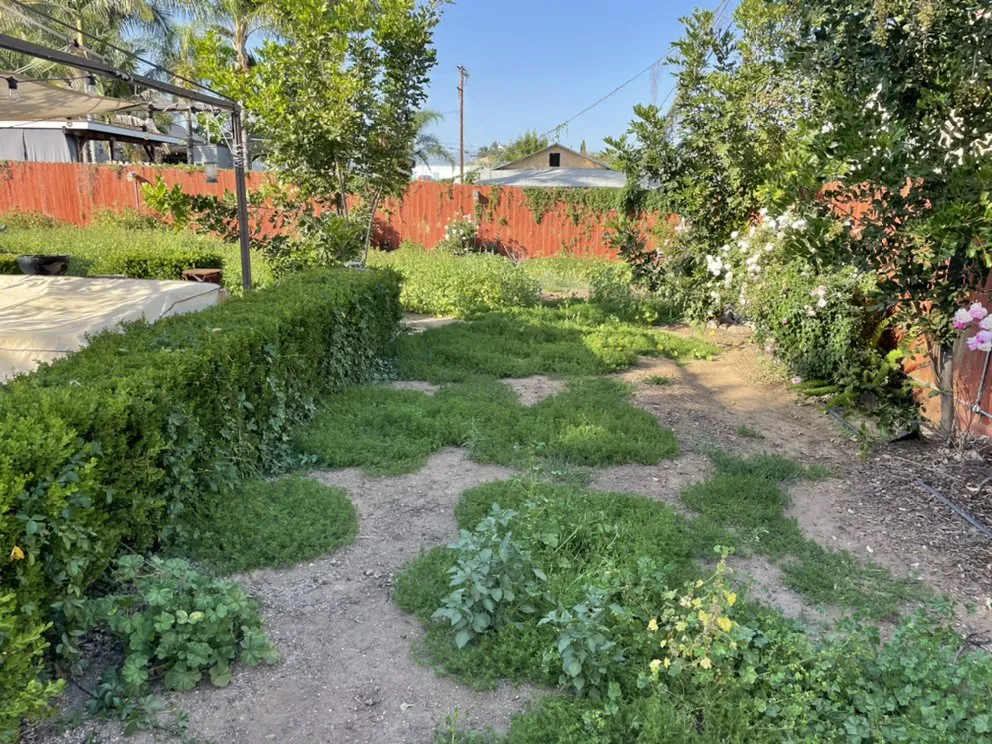 Local garden landscaping for residential properties in Alhambra, CA by Ramos Brothers Landscaping