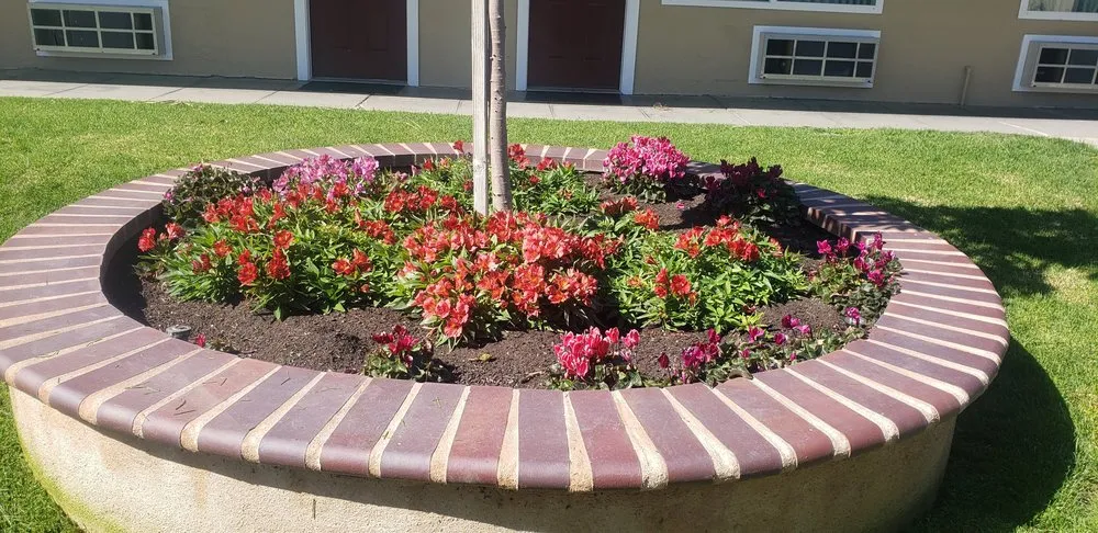 Trusted yard maintenance experts serving Santa Maria, CA - Ramos Complete Maintenance