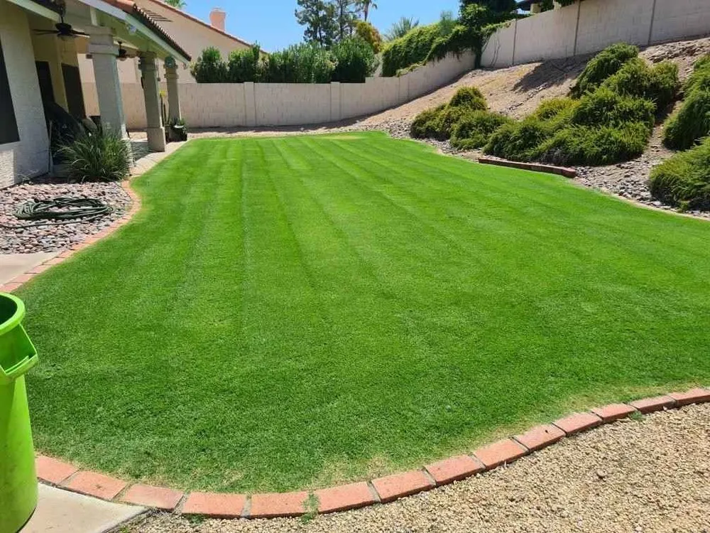 Top-rated lawn mowing service near you in Phoenix, AZ by Ramos Concret & Landscaping