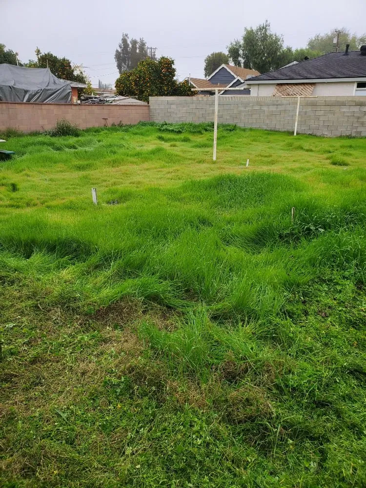 Trusted landscape design experts serving Long Beach, CA - Ramos Gardening