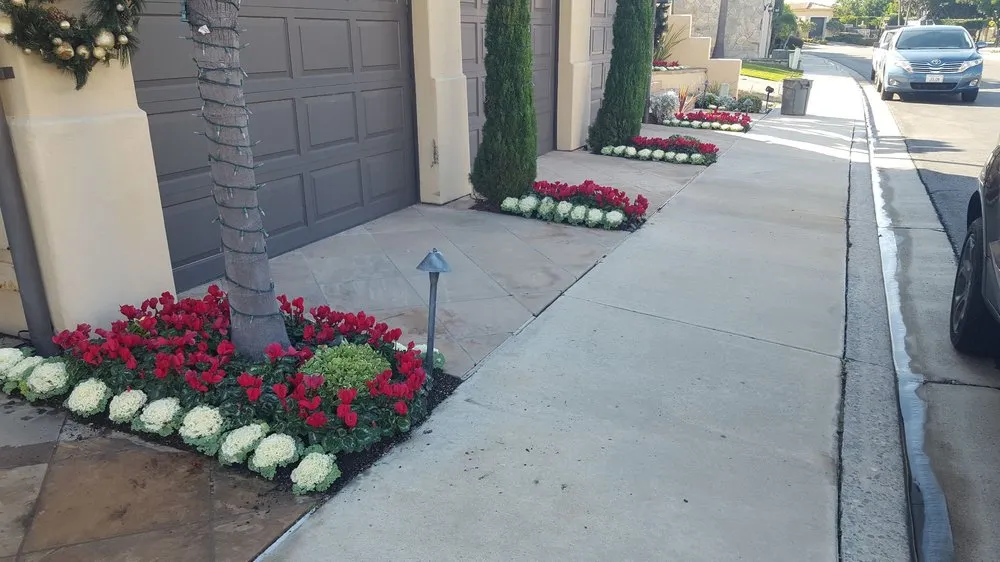 Reliable lawn mowing service near you in San Juan Capistrano, CA by Ramos Gardens