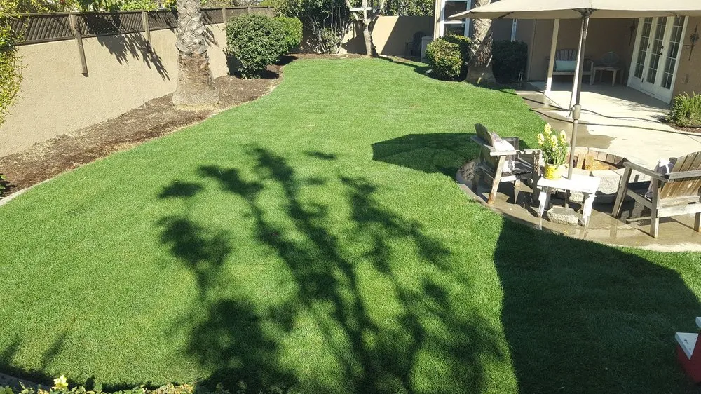 Reliable landscape design experts serving San Juan Capistrano, CA - Ramos Gardens