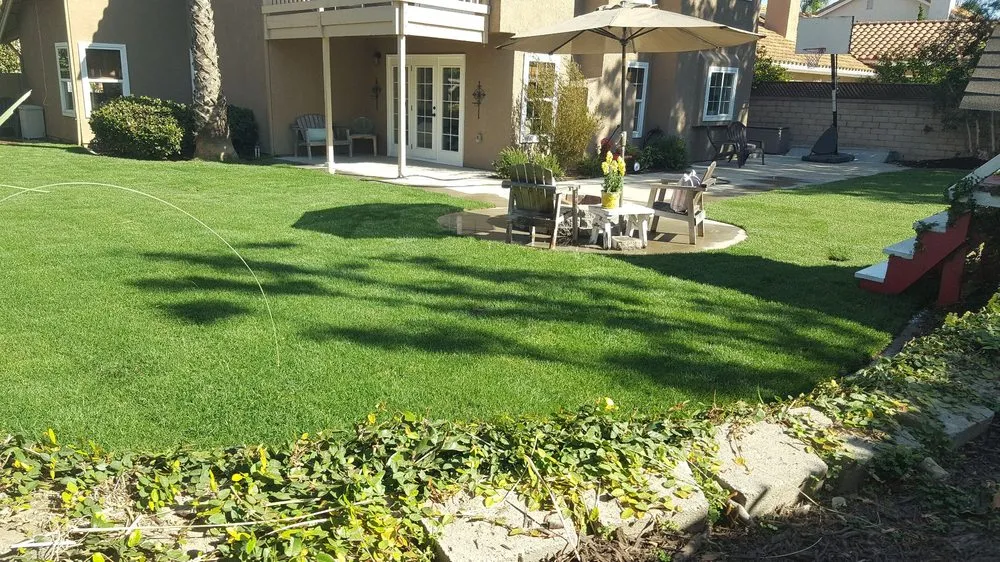 Reliable outdoor landscaping for homes in San Juan Capistrano, CA by Ramos Gardens