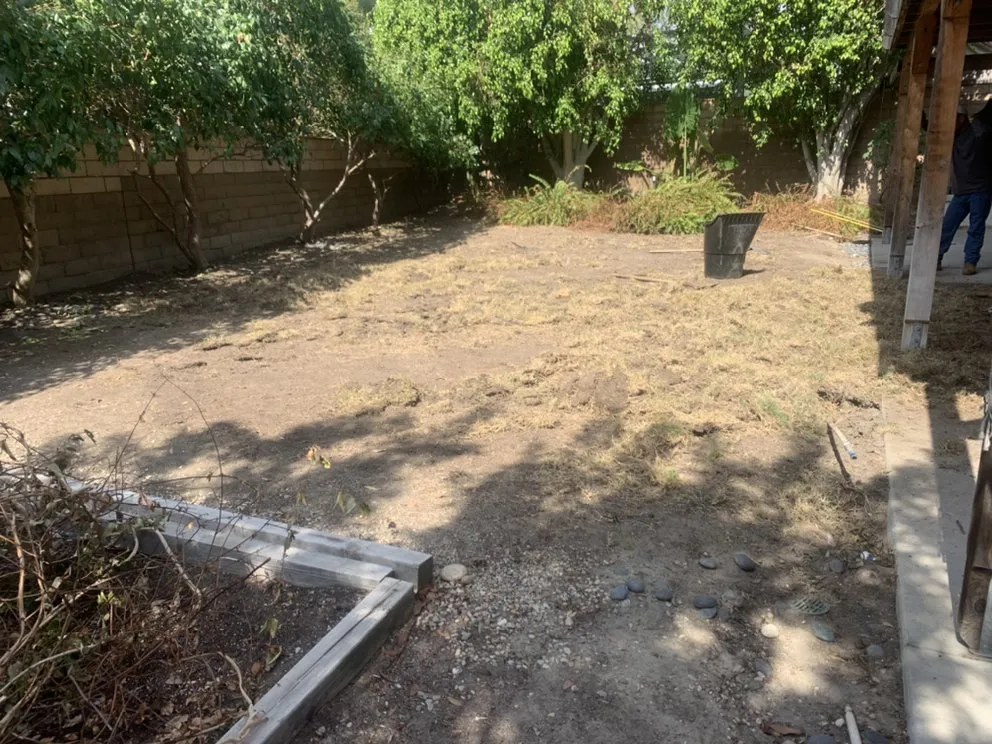 Reliable yard cleanup service for beautiful yards in San Juan Capistrano, CA by Ramos Gardens