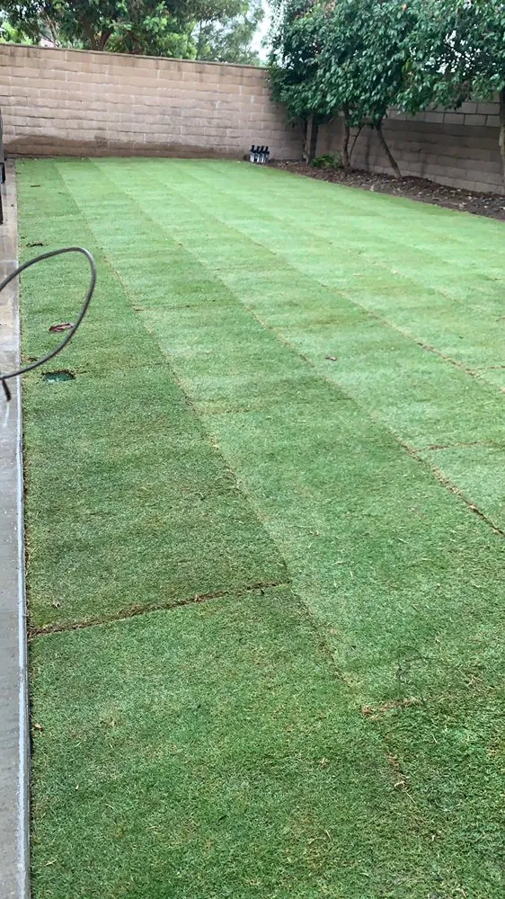 Reliable landscaping services for residential properties in San Juan Capistrano, CA by Ramos Gardens