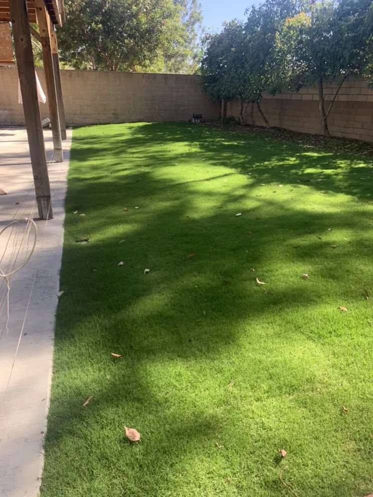 Custom landscape installation near you across San Juan Capistrano, CA - Ramos Gardens
