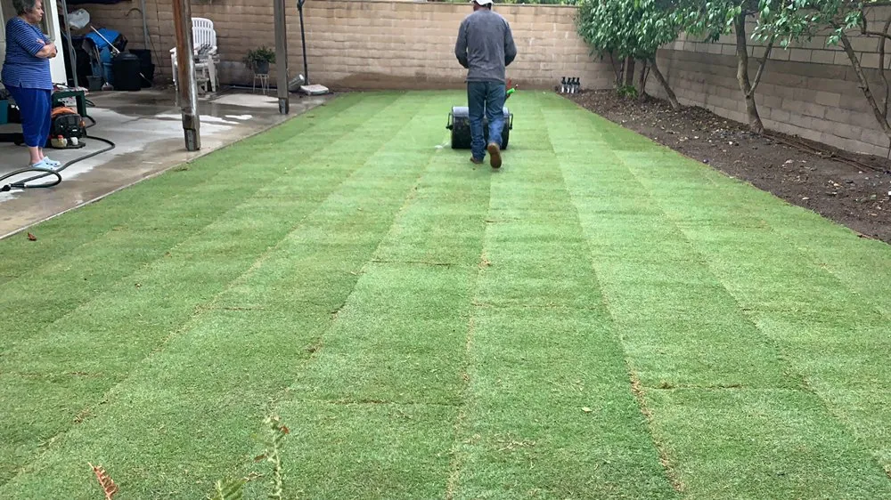 Affordable lawn mowing service in San Juan Capistrano, CA - Ramos Gardens