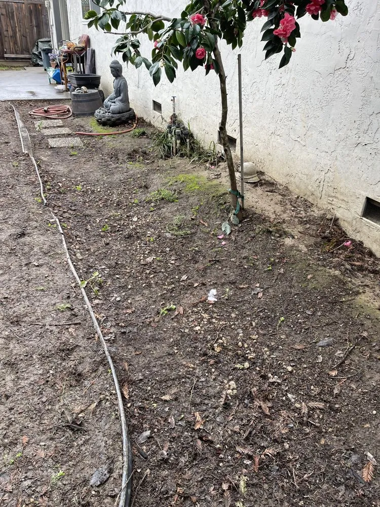 Reliable landscape installation experts serving San Jose, CA - Ramos Jr Landscaping.