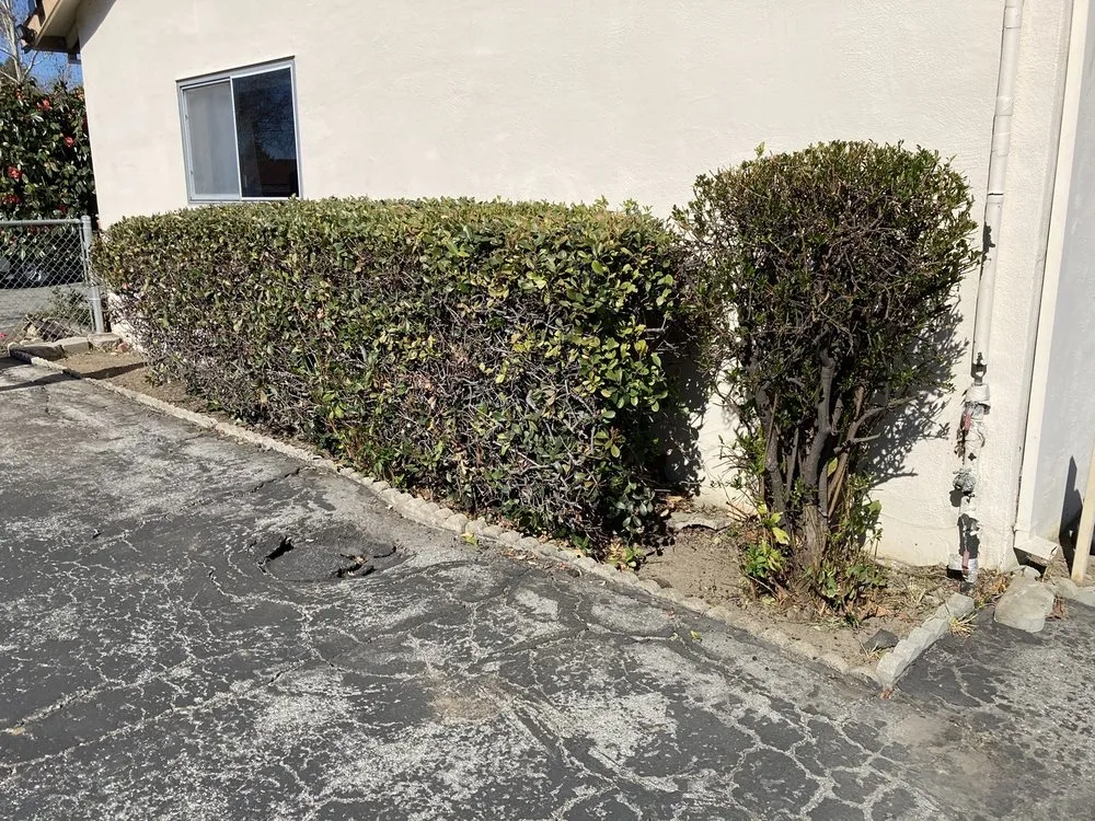 Affordable landscape design in San Jose, CA - Ramos Jr Landscaping.