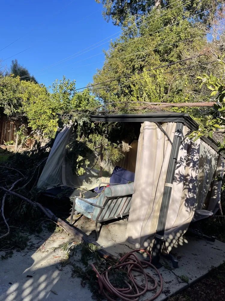 Trusted yard cleanup service for homes in San Jose, CA by Ramos Jr Landscaping.