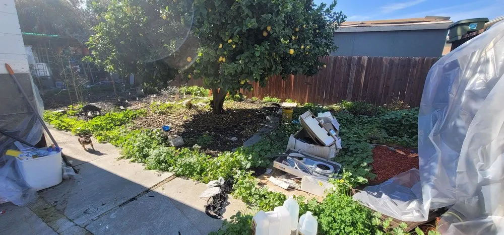 Reliable residential landscaping for residential properties across San Jose, CA - Ramos Jr Landscaping.