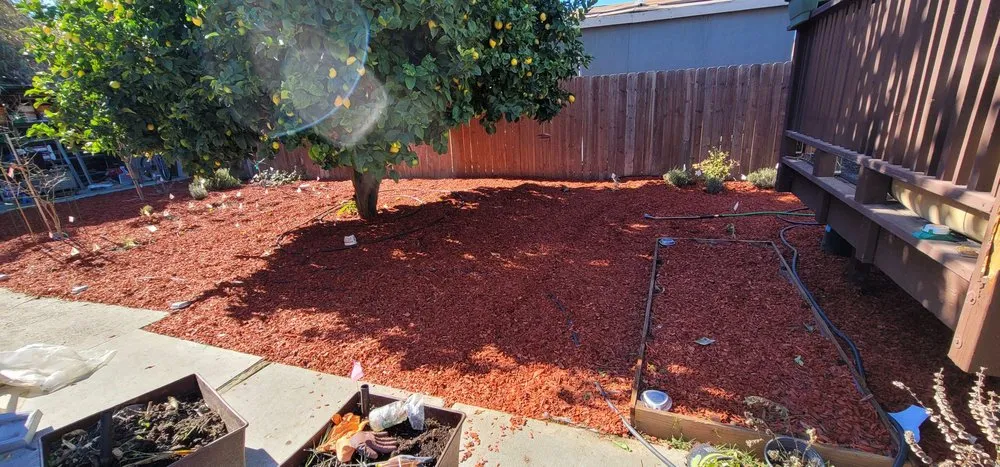 Professional residential landscaping experts serving San Jose, CA - Ramos Jr Landscaping.