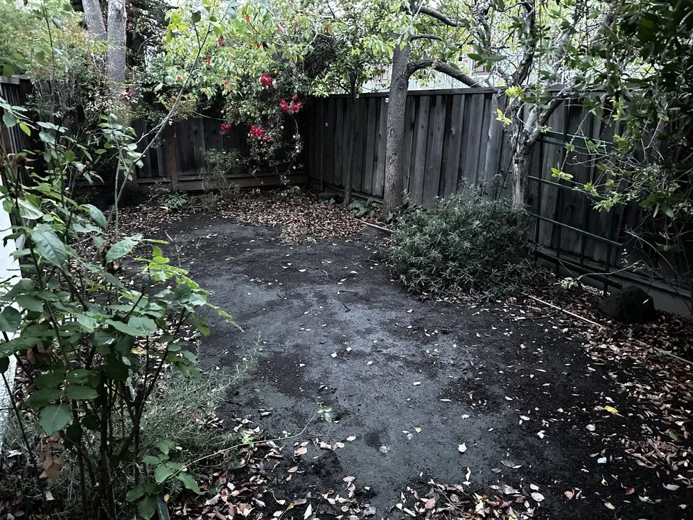 Top-rated outdoor landscaping for beautiful yards in San Jose, CA by Ramos Jr Landscaping.