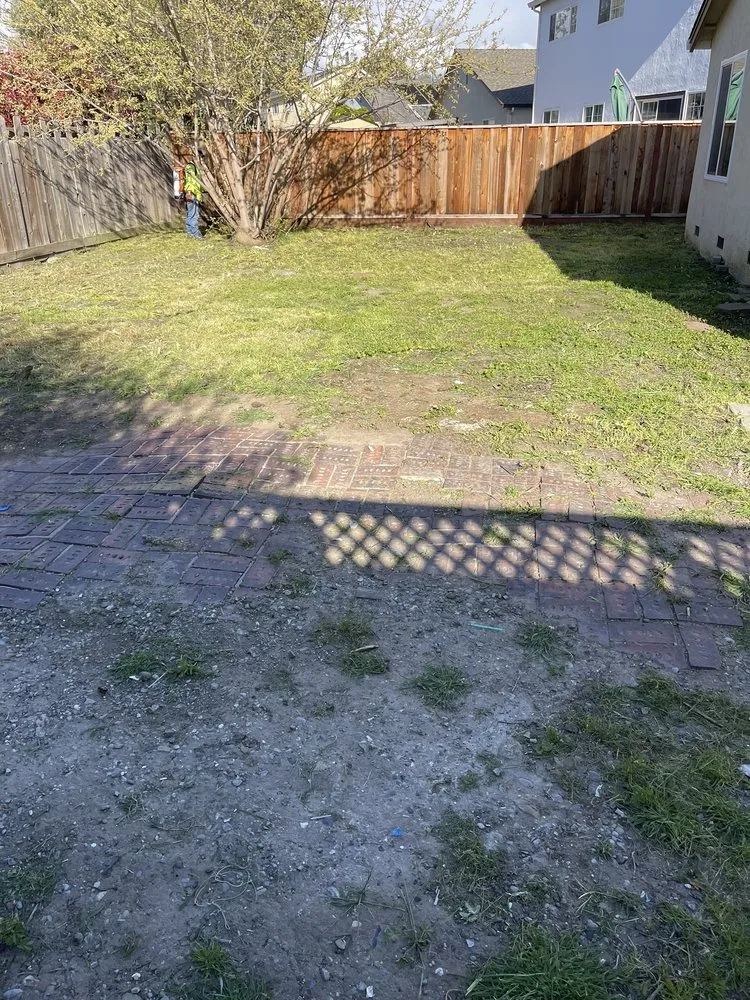 Local outdoor landscaping in San Jose, CA by Ramos Jr Landscaping.