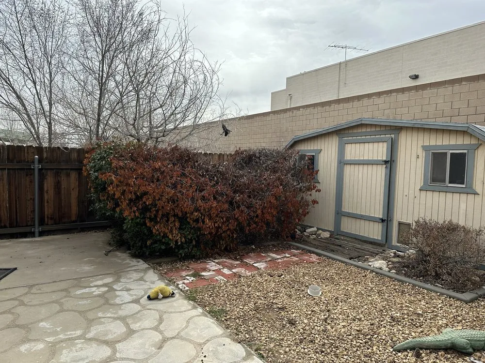 Top-rated yard maintenance experts serving Hesperia, CA - Ramos Landscape Care