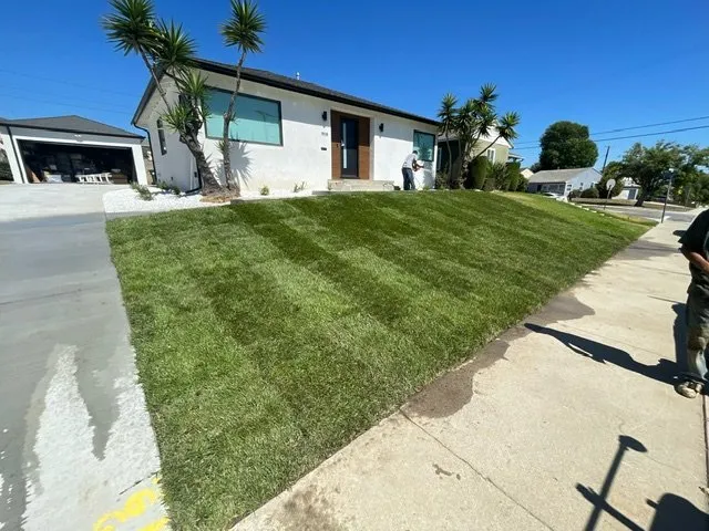 Custom yard cleanup service in Hesperia, CA by Ramos Landscape Care