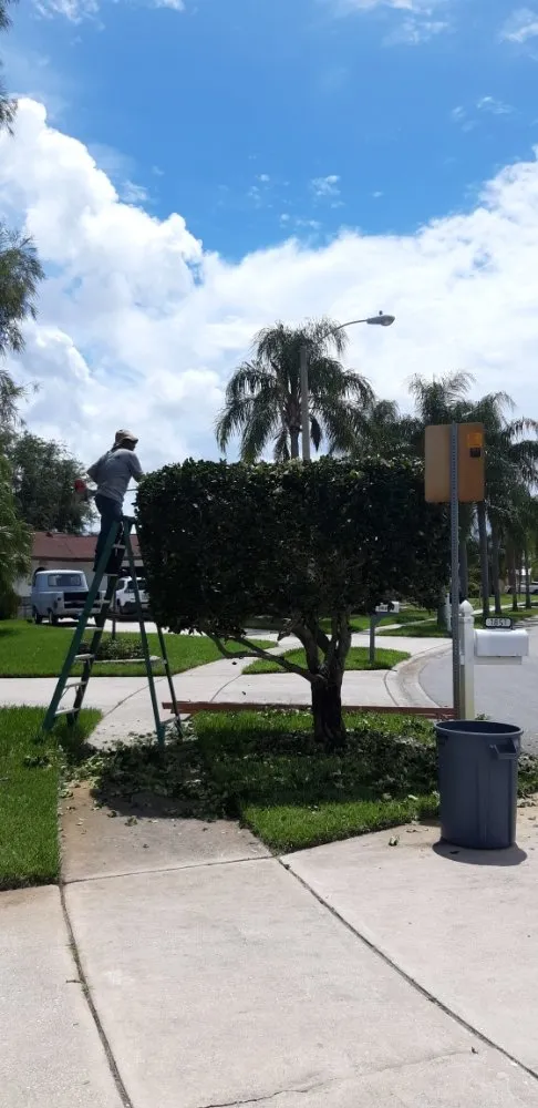 Expert yard cleanup service for residential properties across Melbourne, FL - Ramos Landscaper