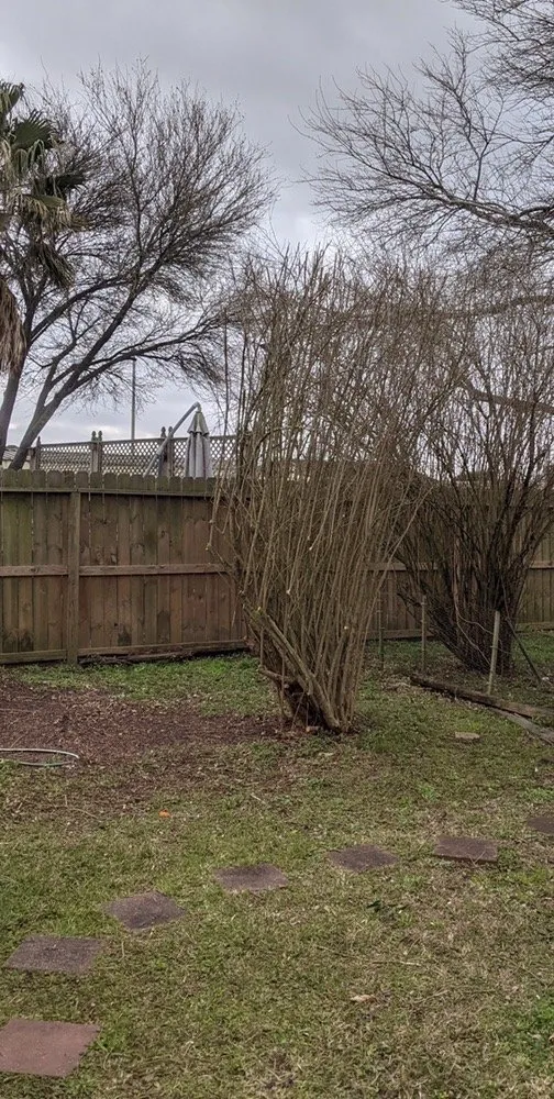 Affordable landscaping services in Houston, TX - Ramos Landscaping & Construction