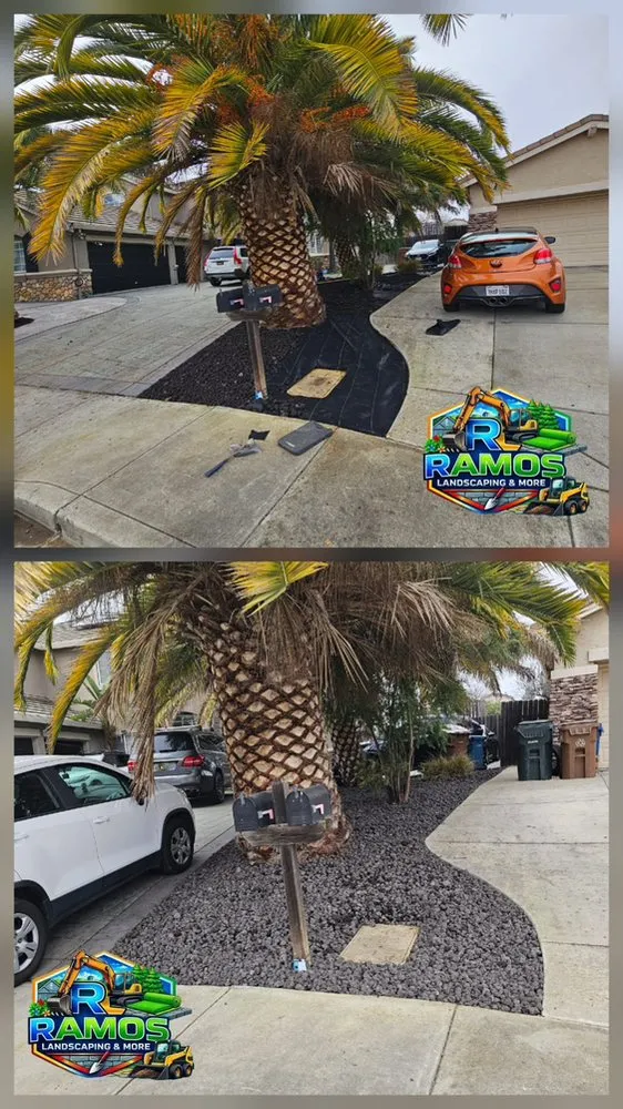 Affordable residential landscaping for year-round maintenance in Antioch, CA by Ramos Landscaping & more