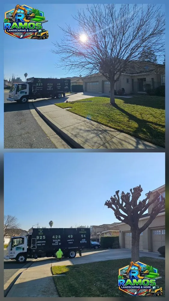 Expert lawn care service for homes in Antioch, CA by Ramos Landscaping & more