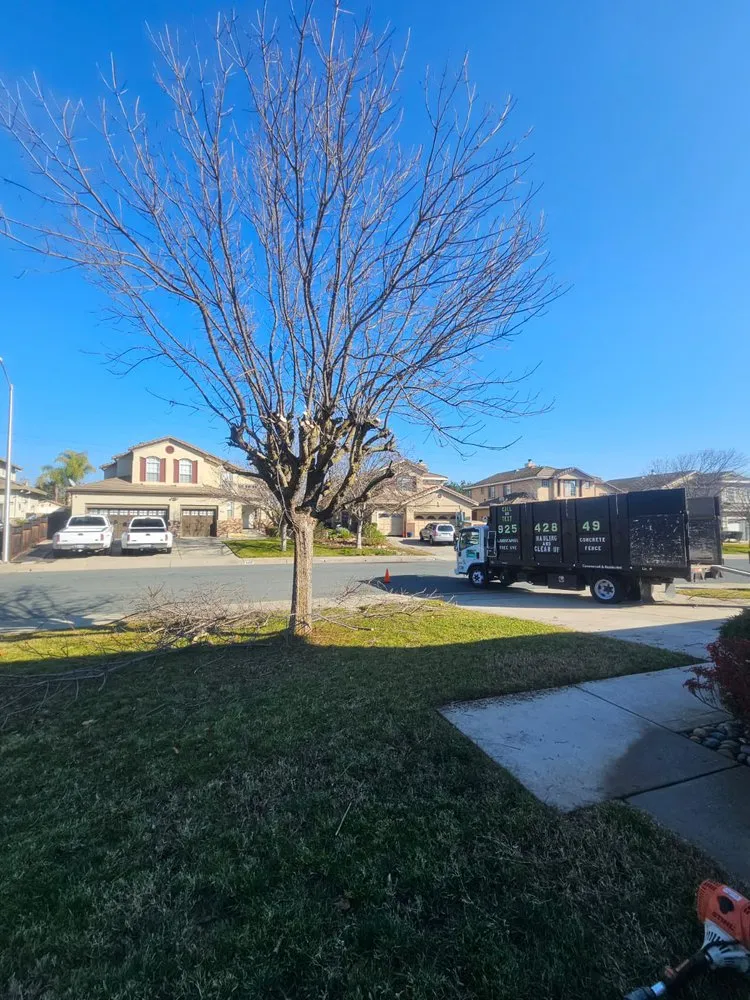 Local landscaping services experts serving Antioch, CA - Ramos Landscaping & more