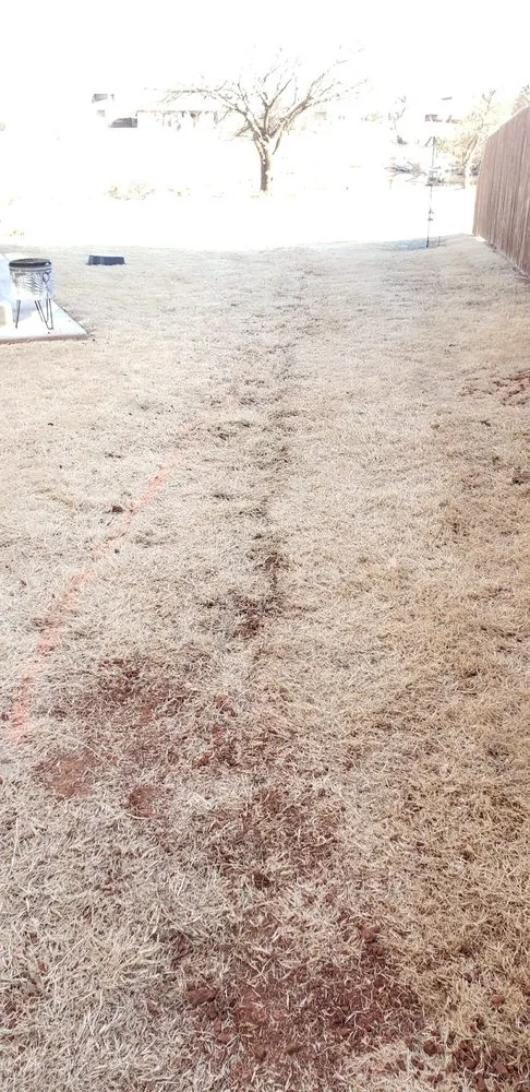 Trusted landscape design in Oklahoma City, OK - Ramos Landscaping & Tree Service