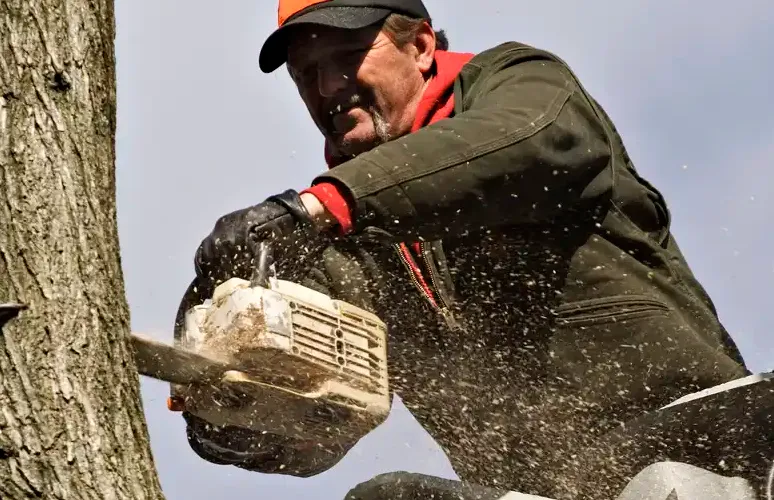 Affordable yard cleanup service in Dickson City, PA - Ramos Landscaping & Tree Services