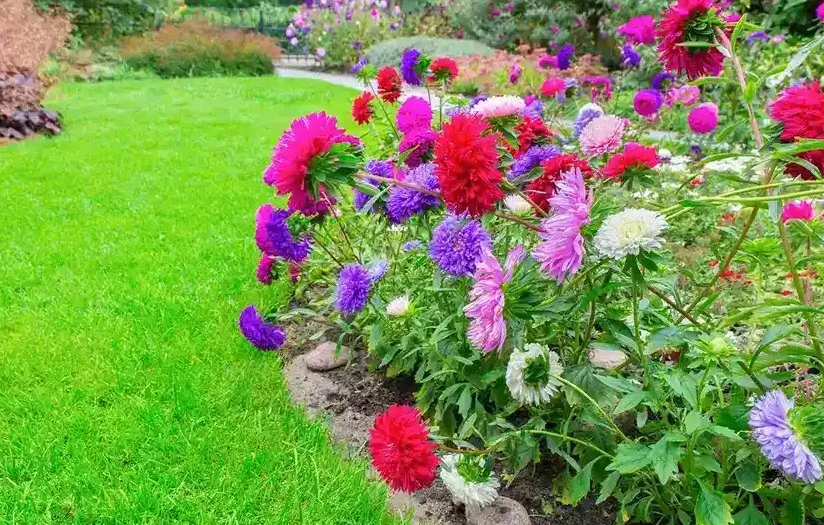 Professional yard maintenance in Dickson City, PA by Ramos Landscaping & Tree Services