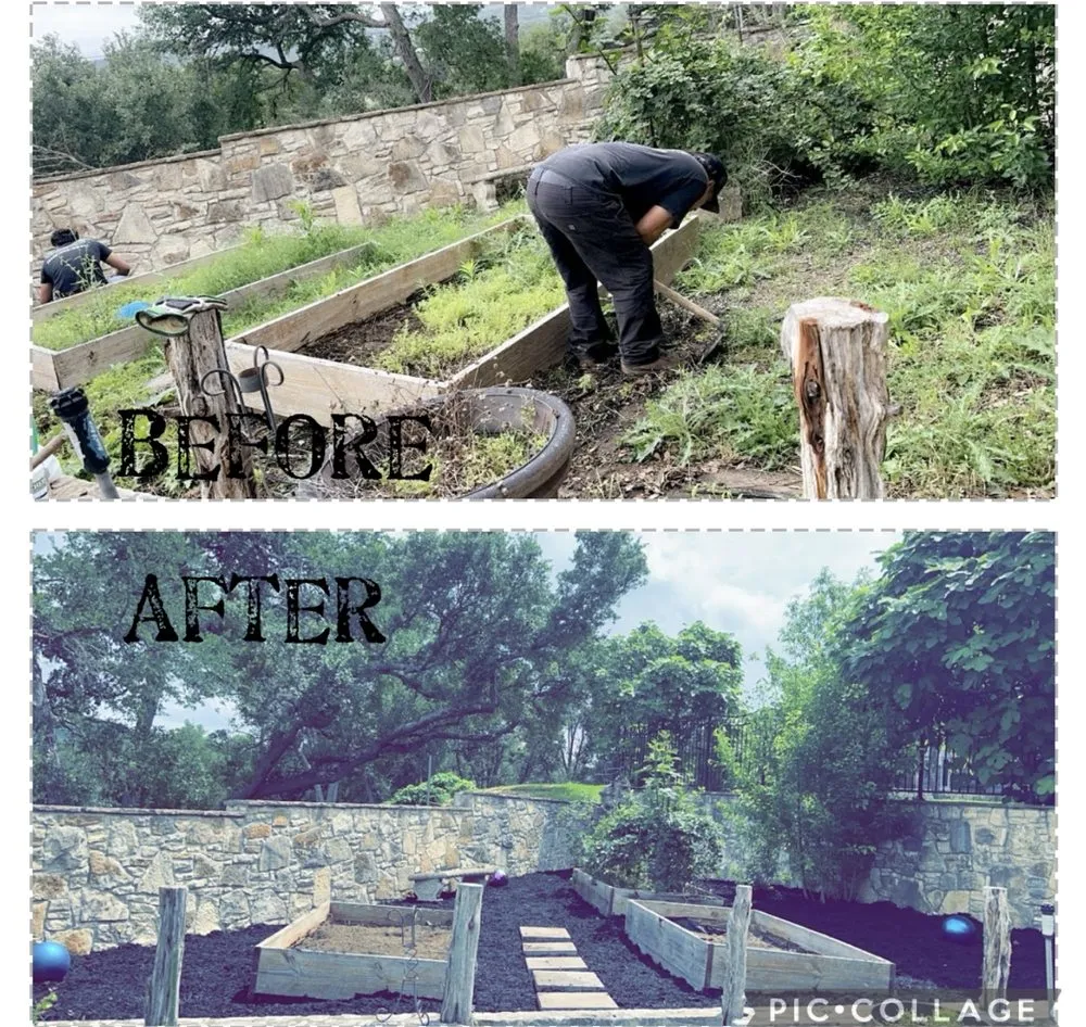 Expert yard cleanup service for year-round maintenance in Boerne, TX by Ramos Landscaping